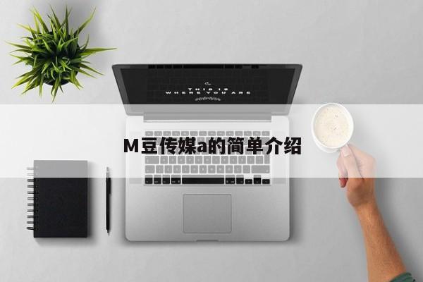 M豆传媒a的简单介绍