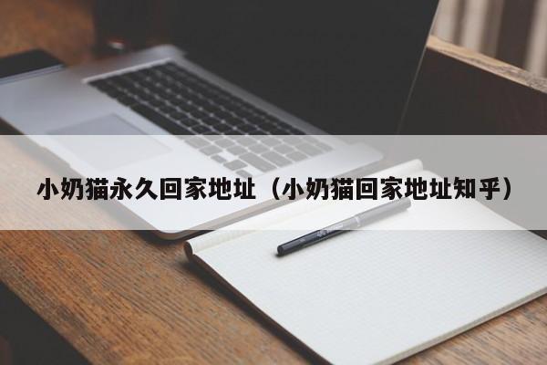 小奶猫永久回家地址(小奶猫回家地址知乎)