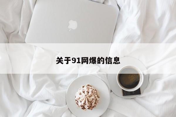 关于91网爆的信息
